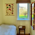 Authentic 150 M From North Holiday home *